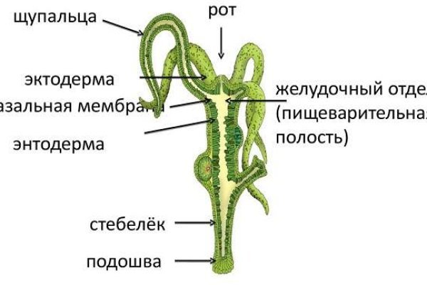 Кракен тор текст