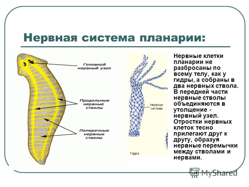 Новая ссылка кракена