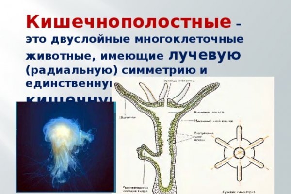 Кракен наркоплейс