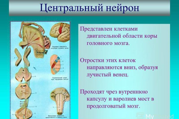 Кракен открылся